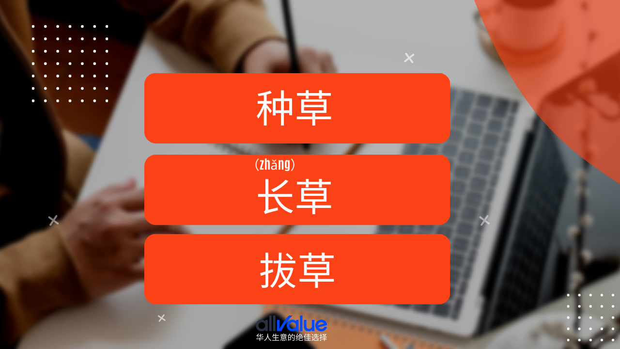 內(nèi)容與商業(yè)相遇：小紅書，2023海外華人商家一定要抓住的商業(yè)風(fēng)向