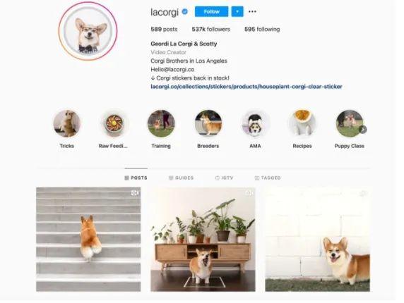 運營干貨 | 6個月內(nèi)，Instagram粉絲數(shù)如何從0漲到1萬？