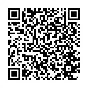 寵物品牌玩轉(zhuǎn)北美社群營銷：上線首日破5000美金，新用戶激增427%！